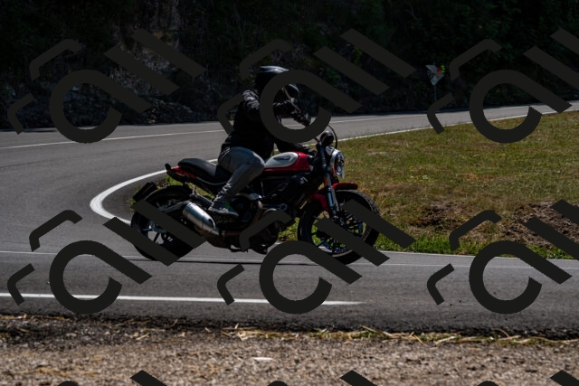 202508091341-_DSC2105_d2_