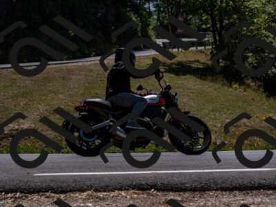 202508091341-_DSC2106_d2_