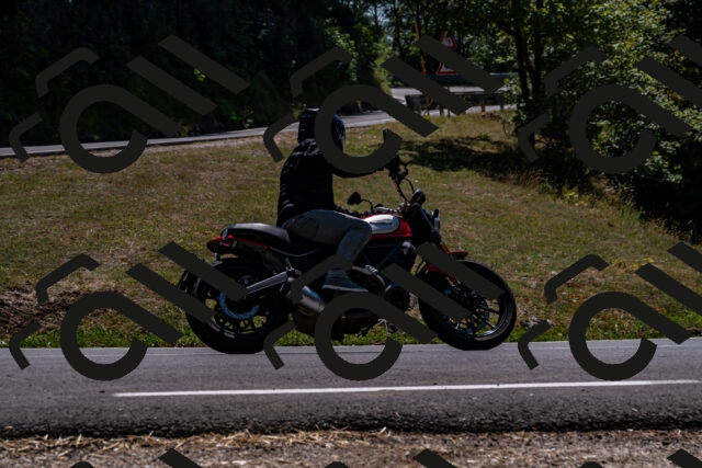 202508091341-_DSC2106_d2_