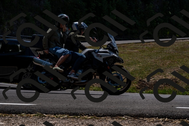 202508091345-_DSC2113_d2_