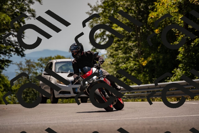 202508091346-_DSC2115_d2_