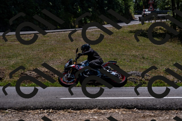 202508091346-_DSC2117_d2_