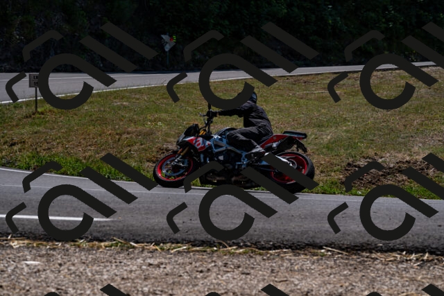 202508091346-_DSC2118_d2_