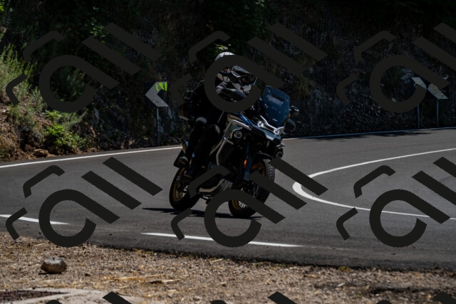 202508091349-_DSC2119_d2_