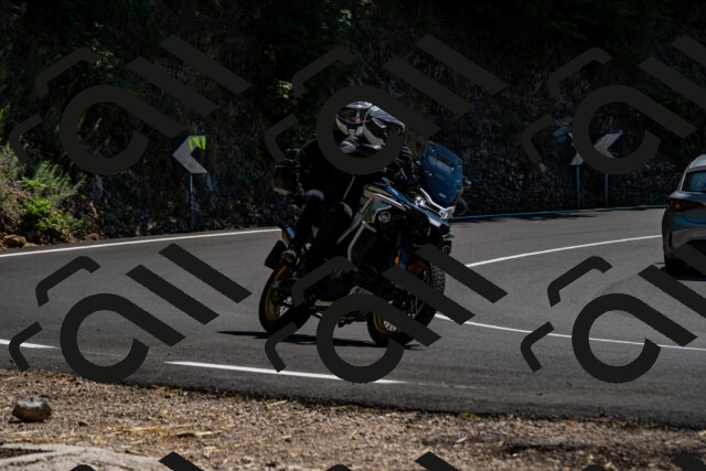 202508091349-_DSC2120_d2_