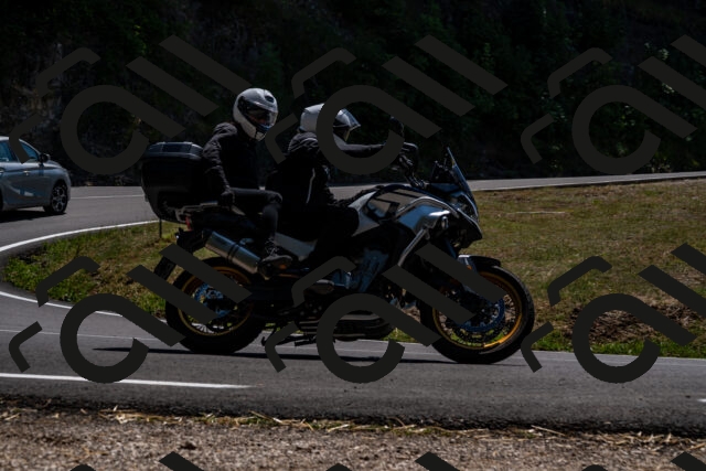 202508091349-_DSC2122_d2_