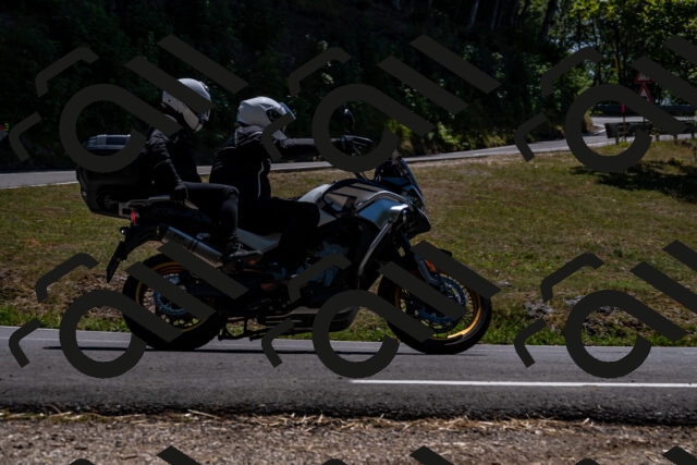 202508091349-_DSC2123_d2_