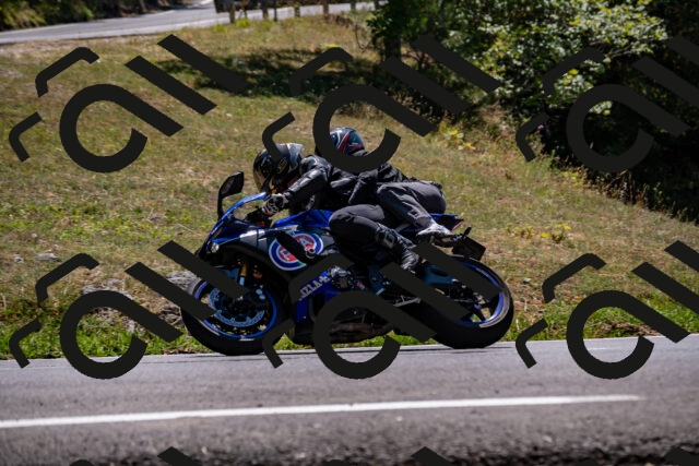 202508091351-_DSC2125_d2_