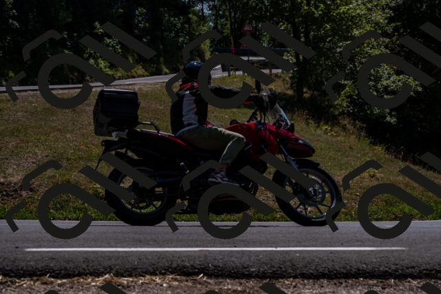 202508091354-_DSC2131_d2_