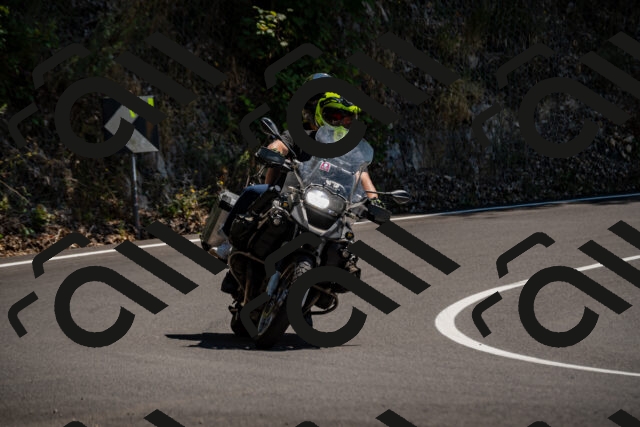 202508091358-_DSC2136_d2_