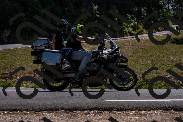 202508091358-_DSC2138_d2_