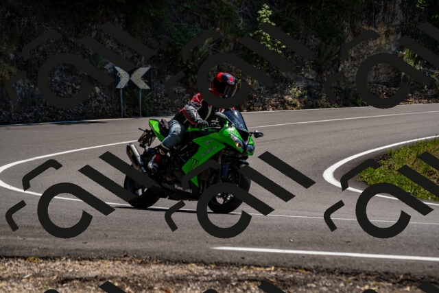 202508091400-_DSC2153_d2_