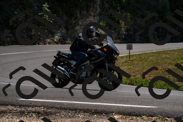 202508091402-_DSC2158_d2_