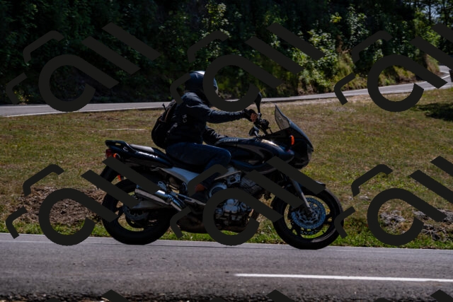 202508091402-_DSC2159_d2_