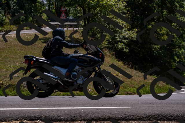 202508091402-_DSC2160_d2_