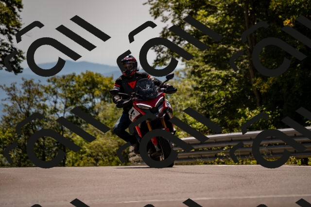 202508091403-_DSC2161_d2_