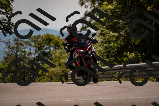 202508091403-_DSC2162_d2_