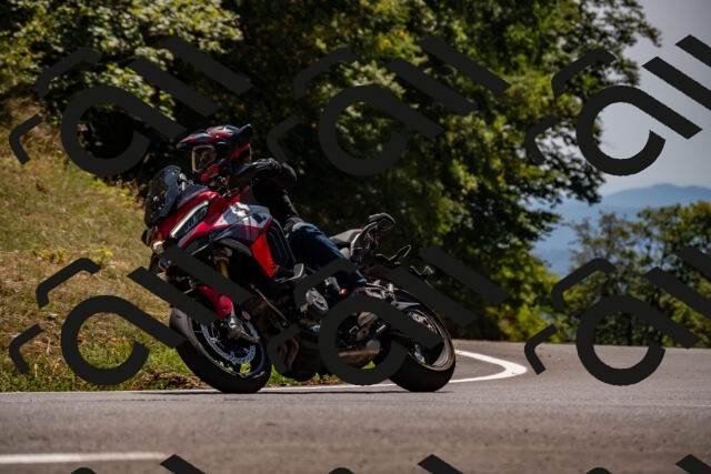 202508091403-_DSC2163_d2_