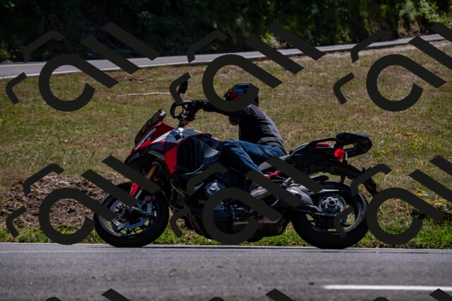 202508091403-_DSC2165_d2_