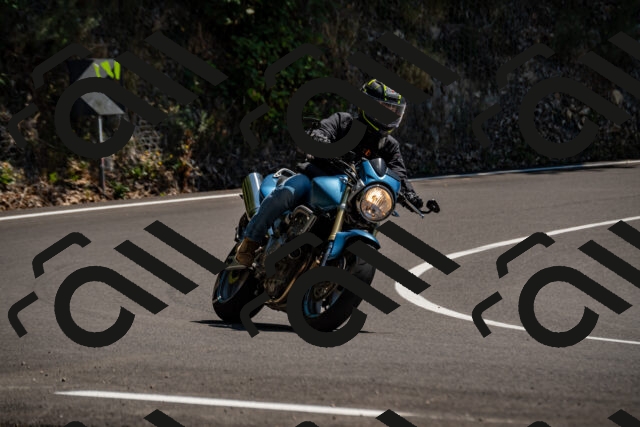 202508091403-_DSC2168_d2_