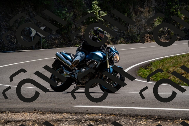 202508091403-_DSC2169_d2_