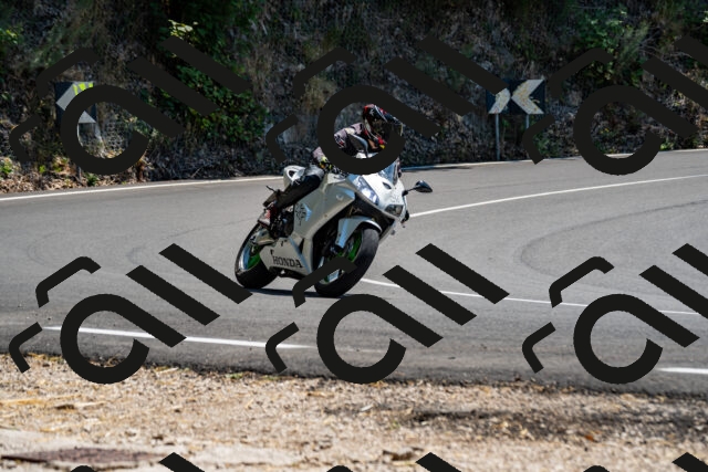 202508091403-_DSC2173_d2_