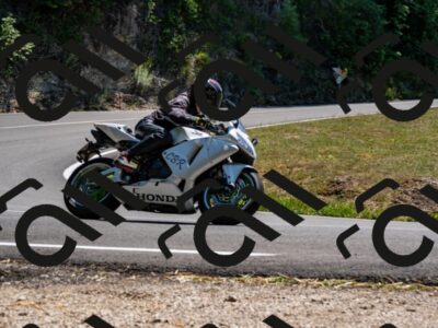 202508091403-_DSC2174_d2_