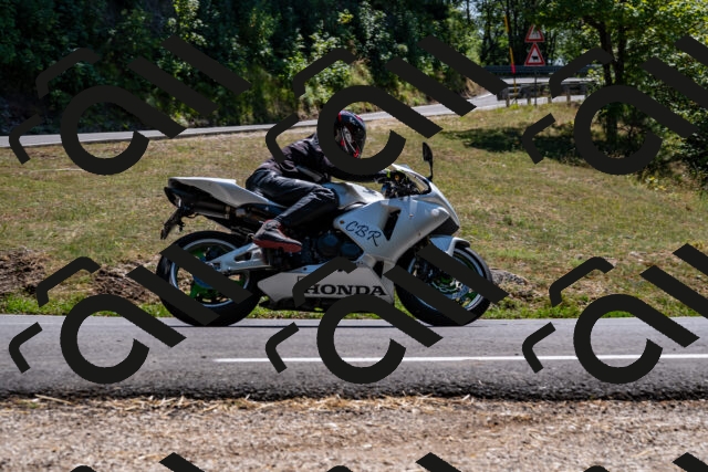 202508091403-_DSC2175_d2_