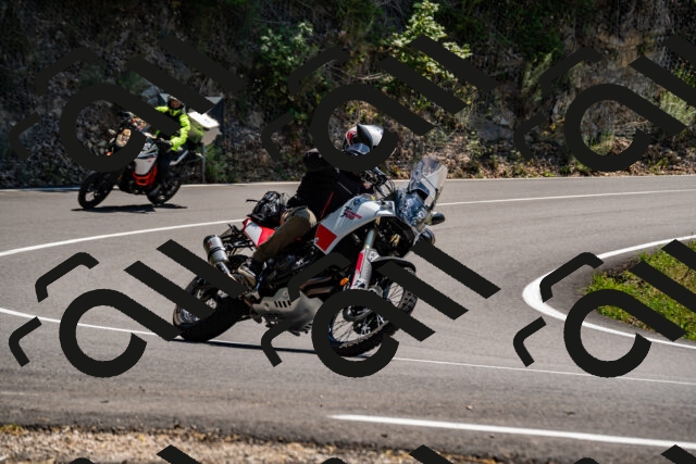 202508091407-_DSC2181_d2_