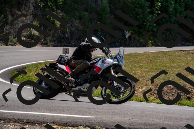 202508091407-_DSC2182_d2_