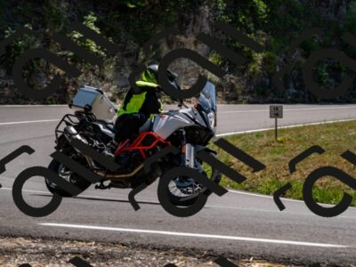 202508091407-_DSC2186_d2_