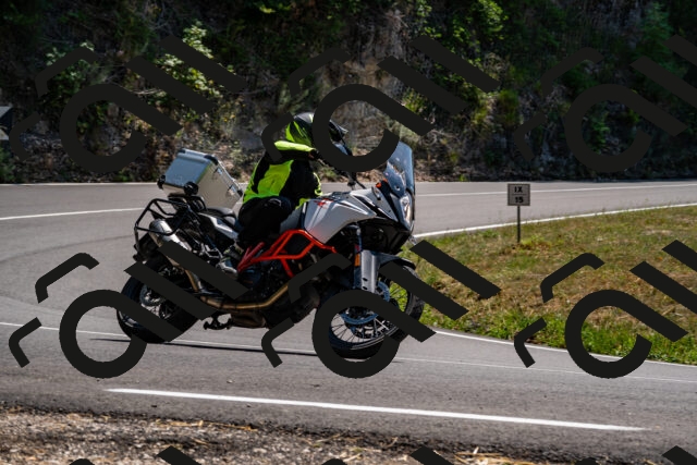 202508091407-_DSC2186_d2_