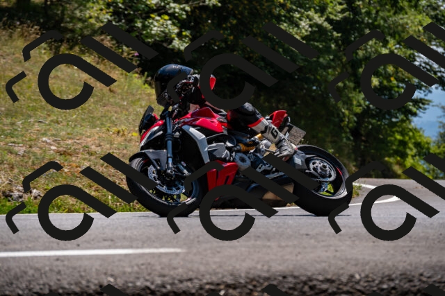 202508091411-_DSC2194_d2_