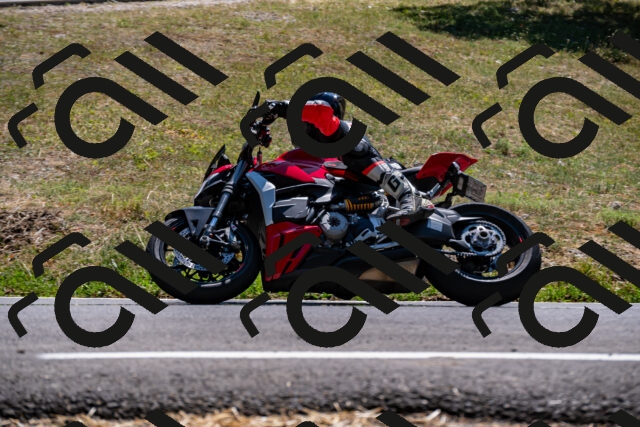 202508091411-_DSC2195_d2_