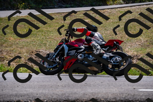 202508091411-_DSC2196_d2_