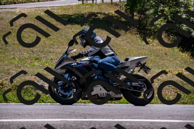 202508091411-_DSC2200_d2_