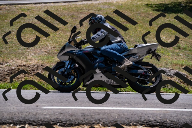 202508091411-_DSC2201_d2_