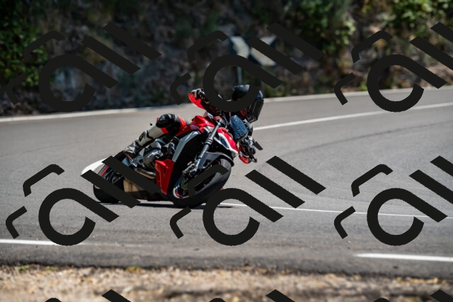 202508091412-_DSC2208_d2_