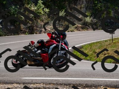 202508091412-_DSC2209_d2_