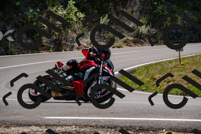 202508091412-_DSC2209_d2_