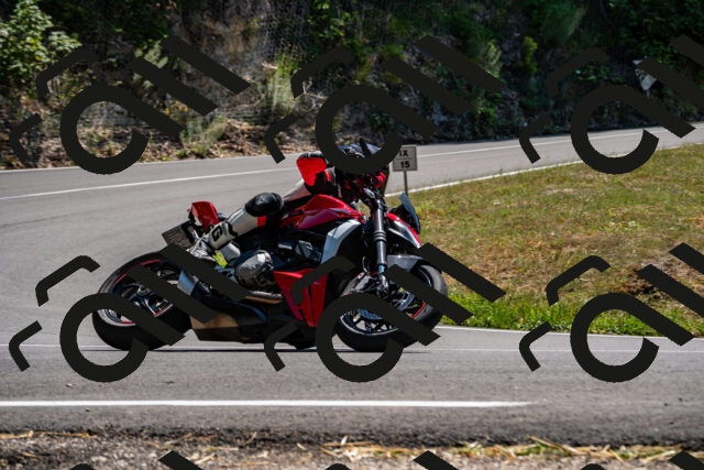 202508091412-_DSC2210_d2_