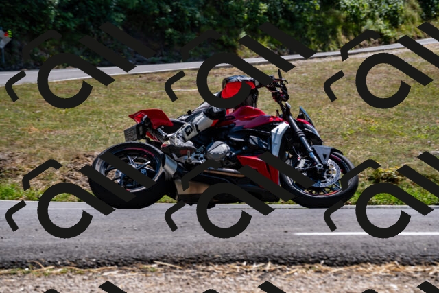 202508091412-_DSC2211_d2_