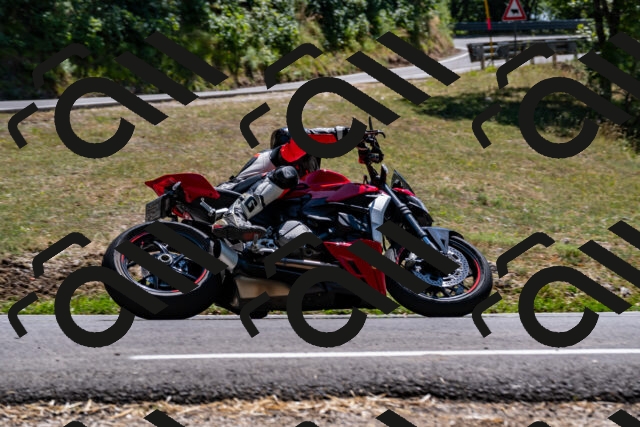 202508091412-_DSC2212_d2_