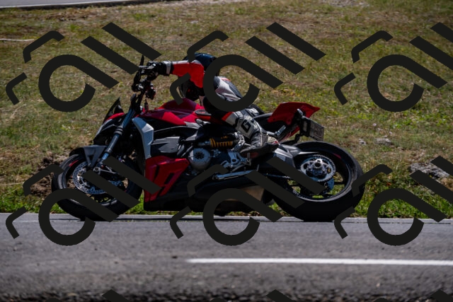 202508091413-_DSC2222_d2_