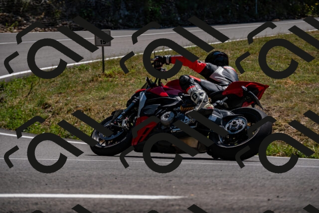 202508091413-_DSC2224_d2_