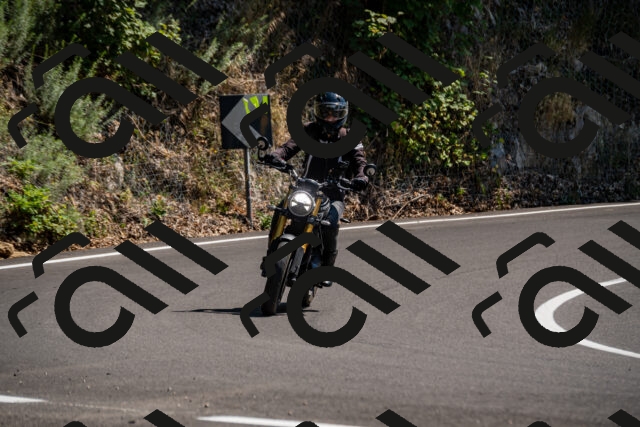 202508091428-_DSC2237_d2_