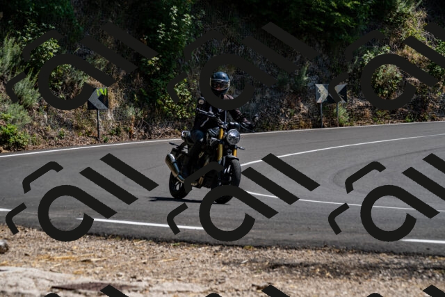 202508091428-_DSC2238_d2_