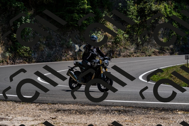 202508091428-_DSC2239_d2_