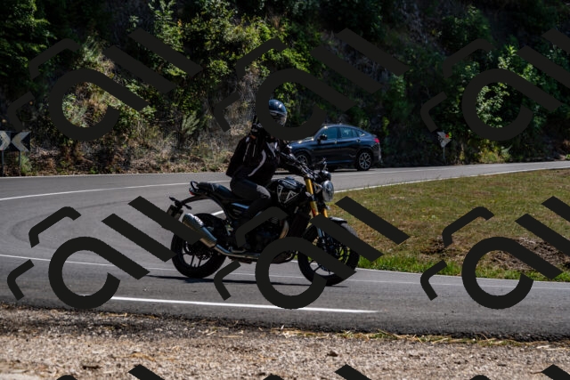 202508091428-_DSC2240_d2_