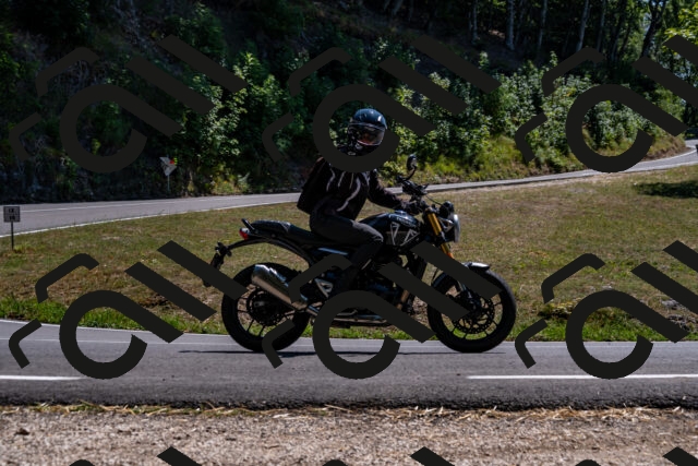 202508091428-_DSC2241_d2_